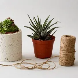 Gift Ideas